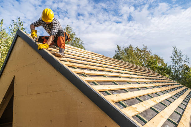 Best Storm Damage Roof Repair  in Dunlap, TN